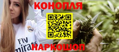 сатива Бузулук