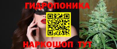 сатива Бузулук