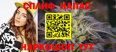 сатива Бузулук