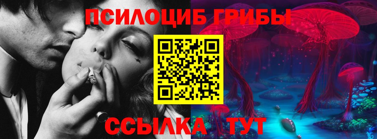 Псилоцибиновые грибы мицелий  купить наркотик  Будённовск 